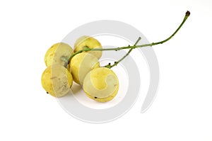 Burmese grapes isolated