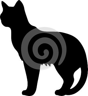 Burmilla Cat Black Silhouette Generative Ai