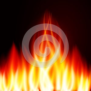 Burn flame fire vector background