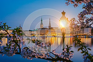 Burn lantern in park with branches of cherry blossom flowers on beautiful Alster river and Hamburg town hall - Rathaus