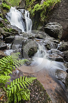 Burn O` Vat at the Muir of Dinnet in Scotland.