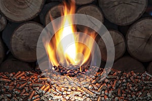 Burn wood pellet and trunks