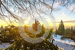 Burnaby Mountain Totem pole Vancouver Jan 2017.