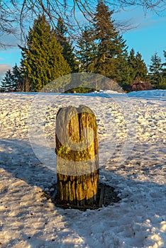 Burnaby Mountain Totem pole Vancouver Jan 2017.