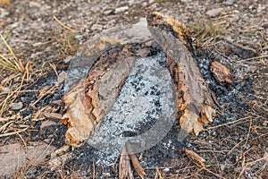 Burned bonfire