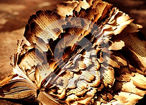 Burned book