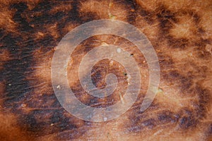 Burned bread crust texture. Overcooked bread crust close-up