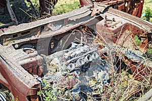 Burned car with plants and small grass