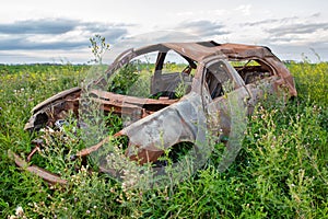 Burnt car in tall green weeds photo