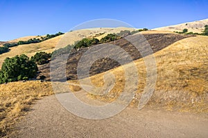 Burned grass area on the golden hills of Mission Peak preserve, south San Francisco bay, California