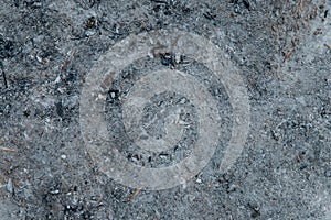 Burned ground with ashes and charcoal, texture of scorched earth after fire