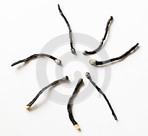 Burned matches