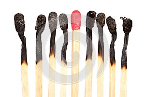 Burned matches over white
