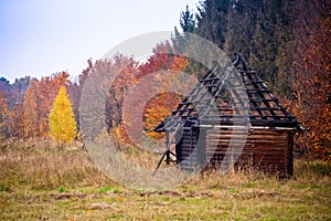 A burned out wooden house