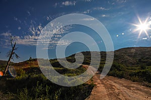 Burned trees with blue sky background with sun rays