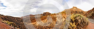 Burned trees in mountain desert, Panorama in Teide Volcano, Tenerife, Canarian Islands