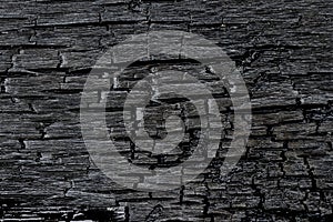 Burned wood texture background. Black burnt wood surface