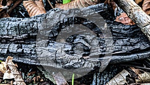 Burned wood texture with craced charcoal surface and dark natural tones