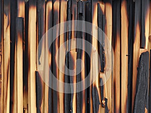 burned wooden background texture