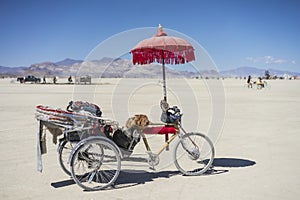 Burner's Tricycle at Burning Man 2015