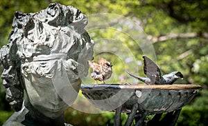 The Burnett Fountain in Central Park, New York