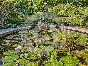 Burnett Fountain photo