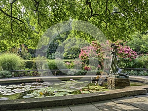 Burnett Fountain in summer