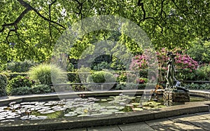 Burnett Fountain in summer