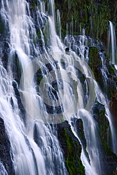 Burney falls in california