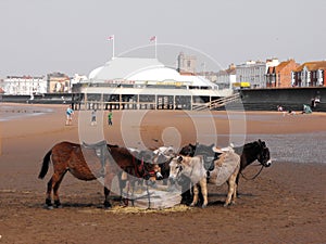 Burnham On Sea sea front