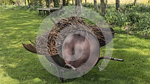 Burning bin on the grass in a vineyard