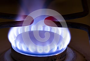 Burning blue gas on the stove.  Blue flames of gas burning from a kitchen gas stove .