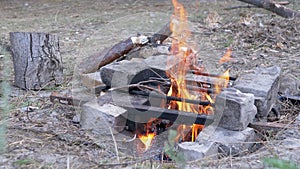 Burning Bonfire in the Fireplace Under a Metal Grate on the Stones in the Forest