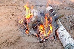 Burning bonfire in forest camping with woods and burning birch in fire.