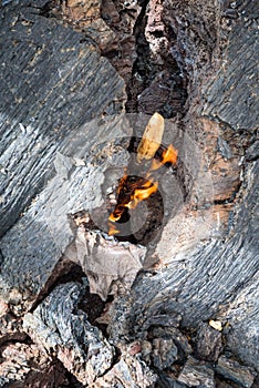 Burning branch ignited by the heat of lava on Tolbachik Volcano