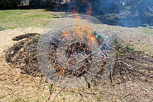 Burning brush and branches in the backyard