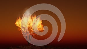 The burning bush religious symbol with space for your content