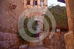 The burning bush at Saint Catherine`s Monastery at the foothill of Mount Sinai