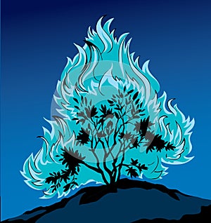 Burning bush. Vector drawing icon