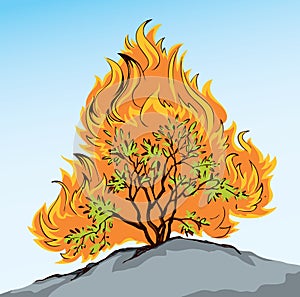 Burning bush. Vector drawing icon