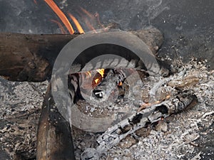 Burning camp fire with coals and flames