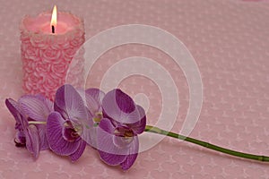 Burning candle and Orchid on textile background with hearts photo
