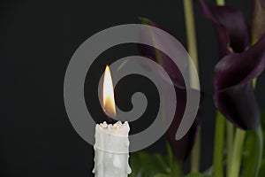 Burning candle and purple Calla lily sepals in the darkness