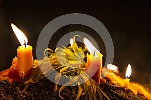 Burning candles with flower