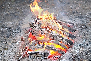 Burning and charred wood logs in a fire