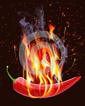 Burning Chili Pepper photo