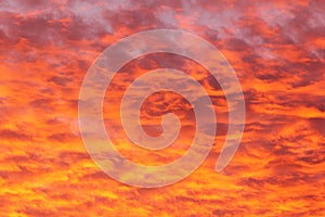 Mammatus clouds glowing orange by sunset, dramatic sky