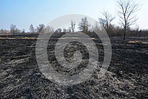 Burning dead grass in spring. The reasons for spring grass burning are largely unfounded and rather than being beneficial, grass