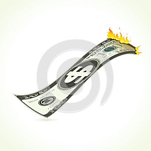 Burning Dollar