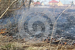 Burning dry grass in the spring.